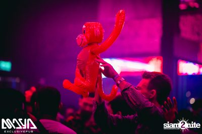 Wiwek at Maya Club — photo 99