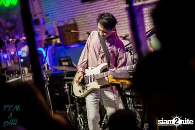 POLYCAT ที่ Peak-A-Boo Bar — photo 121