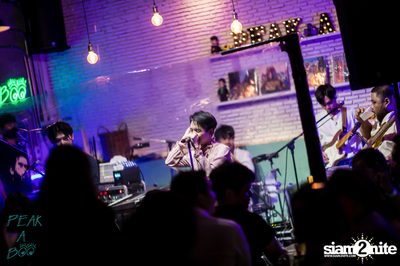 POLYCAT ที่ Peak-A-Boo Bar — photo 140