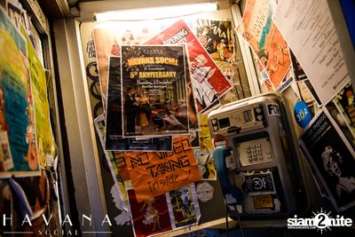 5th Anniversary at Havana Social — photo 1