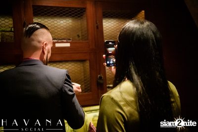 5th Anniversary at Havana Social — photo 121