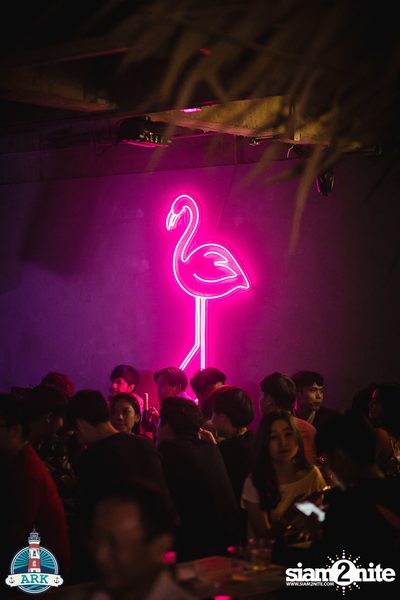 Wanyai x Monik at Ark Marin — photo 15