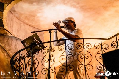 Cinco De Mayo ที่ Havana Social — photo 65