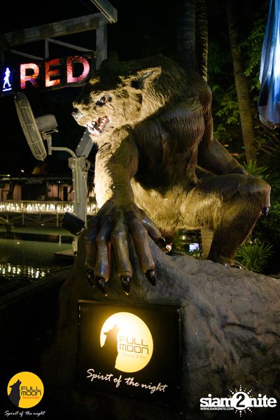 Slapkiss Concert at Fullmoon Terrace — photo 36