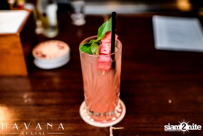 Guest Shift - Saimai Nantarat ที่ Havana Social — photo 47