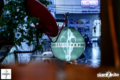 7th Anniversary at Hair of The Dog — photo 9
