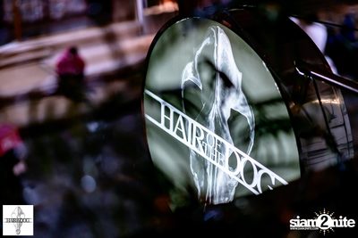 7th Anniversary at Hair of The Dog — photo 50