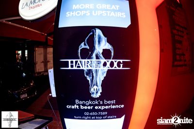 7th Anniversary at Hair of The Dog — photo 52