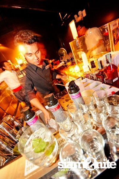 LAUNCHING URBAN BY NATURE PARTY WITH DJ RAVIN — photo 12
