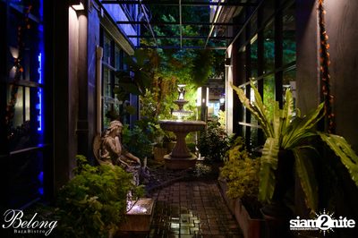 คอนเสิร์ต Non Tanont ที่ร้าน Belong Bar & Bistro — photo 12