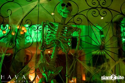 Halloween Party ที่ร้าน Havana Social  — photo 83