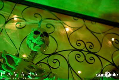 Halloween Party ที่ร้าน Havana Social  — photo 84