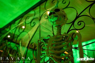 Halloween Party ที่ร้าน Havana Social  — photo 85