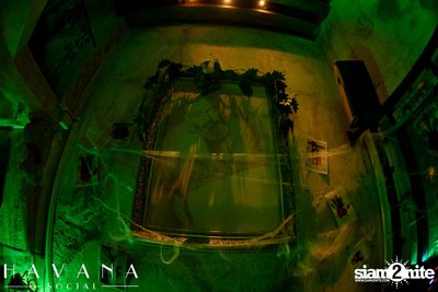 Halloween Party ที่ร้าน Havana Social  — photo 89