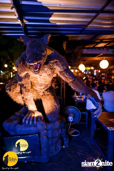 Polycat at Fullmoon Terrace & Bar — photo 2