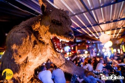 Polycat at Fullmoon Terrace & Bar — photo 3