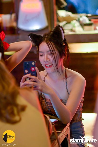 Polycat at Fullmoon Terrace & Bar — photo 71