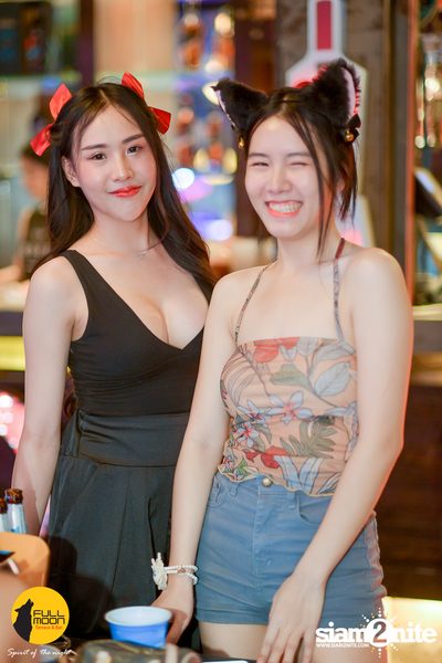 Polycat at Fullmoon Terrace & Bar — photo 72