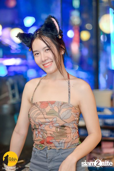 Polycat at Fullmoon Terrace & Bar — photo 73