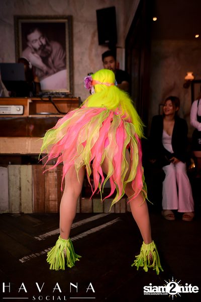Dia De Los Muertos Party at Havana Social  — photo 128