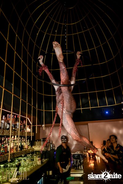 Day of the dead ที่ร้าน Mezcal Bar — photo 67
