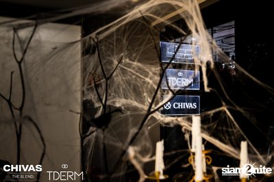 Halloween Party with Paradox x Bowkylion at TDERM  — photo 13