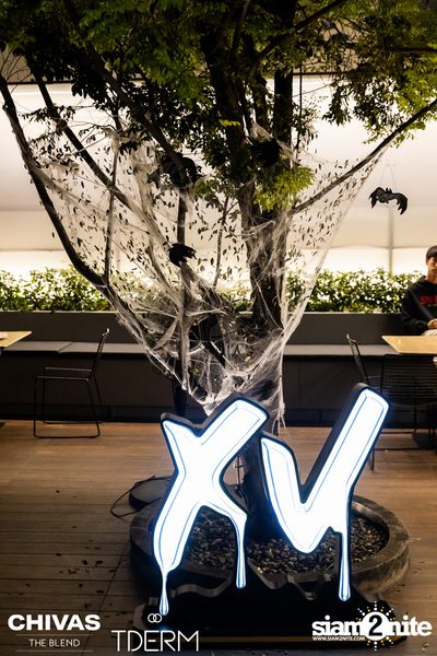Halloween Party with Paradox x Bowkylion at TDERM  — photo 73