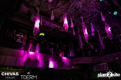 Halloween Party with Paradox x Bowkylion at TDERM  — photo 109