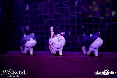 Friday Night at The Weekend Cafe & Bar — photo 48