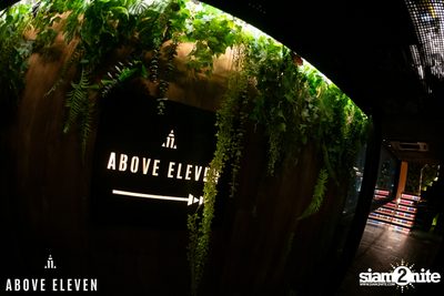 Casa Mexicana ft. Cholos Tacos at Above Eleven — photo 1