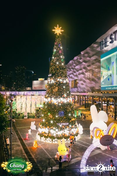 ภาพบรรยากาศคอนเสิร์ต Patrickananda x D Gerrard x Zweed n' Roll จากงาน Chang Live Park FOOD FUN FRIENDS ที่ The Street Ratchada — photo 63