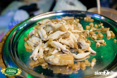 มินิคอนเสิร์ต Greasy Cafe จากงาน Chang Live Park FOOD FUN FRIENDS ที่ The Street Ratchada — photo 38