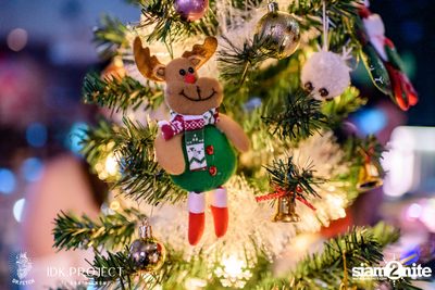 MIRRR'Y Christmas at Dr.Fetch — photo 14