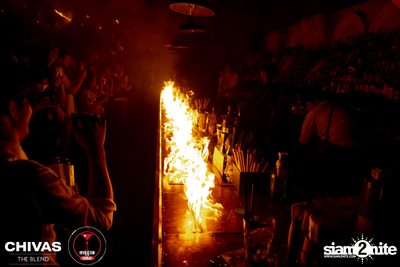 Masquerade Party - New Year Eve at Revolucion Cocktail — photo 40