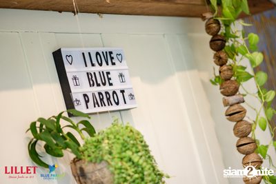 Backyard BBQ Party at Blue Parrot — photo 6
