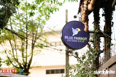 Backyard BBQ Party at Blue Parrot — photo 7