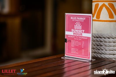 Backyard BBQ Party at Blue Parrot — photo 9