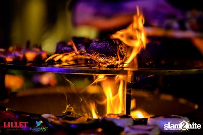 Backyard BBQ Party at Blue Parrot — photo 94