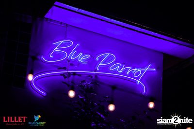 Backyard BBQ Party at Blue Parrot — photo 116