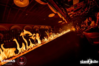 Brazilian Carnival at Revolucion Cocktail — photo 95