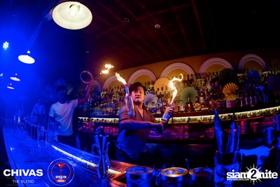 Brazilian Carnival at Revolucion Cocktail — photo 177