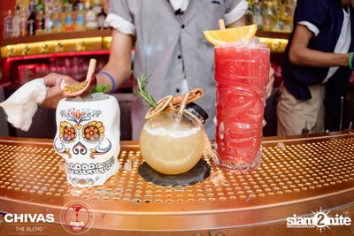 2499 - Revo Gangsters at Revolucion Cocktail — photo 60