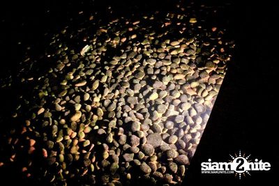 SUK 11 CLUB CRAWL — photo 18