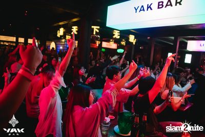 Paper Planes Concert at Yak Bar — photo 162