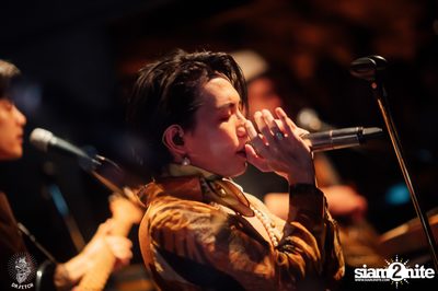 Polycat Concert at Dr. Fetch — photo 45