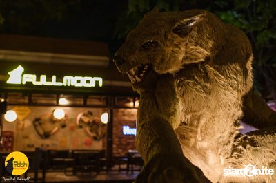 Potato Concert at Fullmoon Terrace & Bar — photo 4