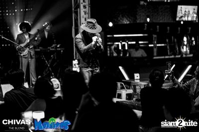 The Parkinson Concert at Maldives Bar Mengjai — photo 144