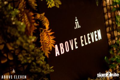 Haunted Jungle Halloween Party at Above Eleven — photo 1