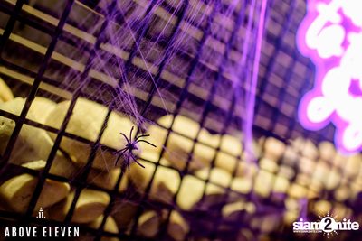 Haunted Jungle Halloween Party at Above Eleven — photo 3