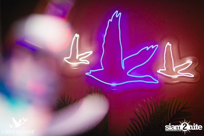 ภาพบรรยากาศงาน Grey Goose presents Friday Night ที่ Milley Club — photo 10